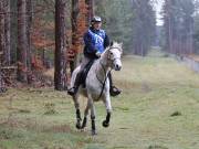 Image 17 in ANGLIAN DISTANCE RIDERS.  9 MARCH 2019