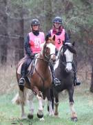 Image 19 in ANGLIAN DISTANCE RIDERS. 9 MARCH 2019
