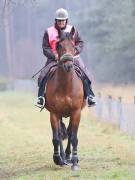 Image 21 in ANGLIAN DISTANCE RIDERS. 9 MARCH 2019
