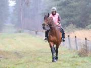 Image 22 in ANGLIAN DISTANCE RIDERS. 9 MARCH 2019