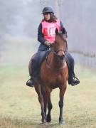 Image 27 in ANGLIAN DISTANCE RIDERS.  9 MARCH 2019