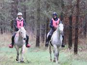 Image 3 in ANGLIAN DISTANCE RIDERS. 9 MARCH 2019