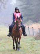 Image 30 in ANGLIAN DISTANCE RIDERS. 9 MARCH 2019