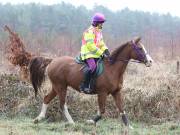 Image 34 in ANGLIAN DISTANCE RIDERS. 9 MARCH 2019