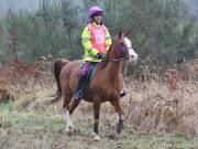 Image 35 in ANGLIAN DISTANCE RIDERS.  9 MARCH 2019
