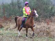 Image 35 in ANGLIAN DISTANCE RIDERS. 9 MARCH 2019