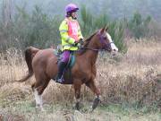 Image 37 in ANGLIAN DISTANCE RIDERS.  9 MARCH 2019