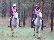 Image 4 in ANGLIAN DISTANCE RIDERS. 9 MARCH 2019