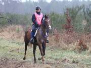 Image 41 in ANGLIAN DISTANCE RIDERS. 9 MARCH 2019