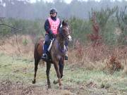 Image 41 in ANGLIAN DISTANCE RIDERS.  9 MARCH 2019