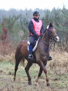 Image 43 in ANGLIAN DISTANCE RIDERS. 9 MARCH 2019