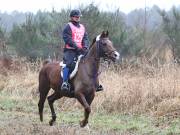 Image 44 in ANGLIAN DISTANCE RIDERS.  9 MARCH 2019