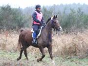 Image 45 in ANGLIAN DISTANCE RIDERS. 9 MARCH 2019
