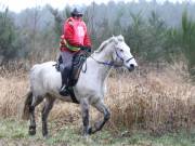 Image 49 in ANGLIAN DISTANCE RIDERS.  9 MARCH 2019