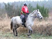 Image 50 in ANGLIAN DISTANCE RIDERS.  9 MARCH 2019