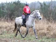 Image 51 in ANGLIAN DISTANCE RIDERS.  9 MARCH 2019