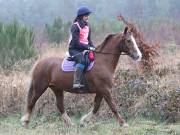 Image 57 in ANGLIAN DISTANCE RIDERS. 9 MARCH 2019