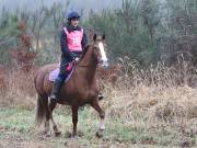 Image 58 in ANGLIAN DISTANCE RIDERS. 9 MARCH 2019
