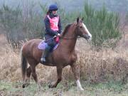 Image 59 in ANGLIAN DISTANCE RIDERS.  9 MARCH 2019