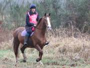 Image 61 in ANGLIAN DISTANCE RIDERS. 9 MARCH 2019