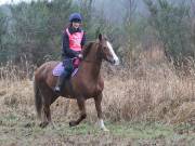 Image 62 in ANGLIAN DISTANCE RIDERS. 9 MARCH 2019