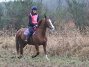 Image 62 in ANGLIAN DISTANCE RIDERS.  9 MARCH 2019