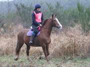 Image 63 in ANGLIAN DISTANCE RIDERS. 9 MARCH 2019