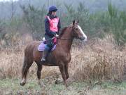 Image 63 in ANGLIAN DISTANCE RIDERS.  9 MARCH 2019