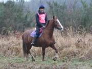Image 64 in ANGLIAN DISTANCE RIDERS. 9 MARCH 2019