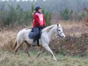 Image 65 in ANGLIAN DISTANCE RIDERS. 9 MARCH 2019