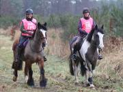 Image 75 in ANGLIAN DISTANCE RIDERS.  9 MARCH 2019