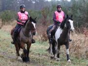 Image 76 in ANGLIAN DISTANCE RIDERS.  9 MARCH 2019