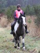 Image 78 in ANGLIAN DISTANCE RIDERS.  9 MARCH 2019