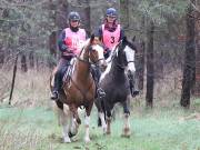 Image 8 in ANGLIAN DISTANCE RIDERS. 9 MARCH 2019