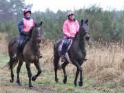 Image 80 in ANGLIAN DISTANCE RIDERS.  9 MARCH 2019