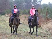 Image 84 in ANGLIAN DISTANCE RIDERS. 9 MARCH 2019