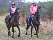 Image 88 in ANGLIAN DISTANCE RIDERS. 9 MARCH 2019