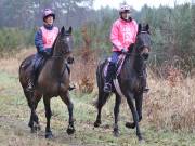 Image 88 in ANGLIAN DISTANCE RIDERS.  9 MARCH 2019