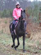 Image 89 in ANGLIAN DISTANCE RIDERS.  9 MARCH 2019