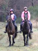 Image 90 in ANGLIAN DISTANCE RIDERS.  9 MARCH 2019