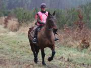 Image 93 in ANGLIAN DISTANCE RIDERS. 9 MARCH 2019