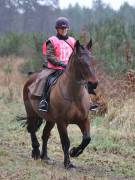 Image 95 in ANGLIAN DISTANCE RIDERS.  9 MARCH 2019