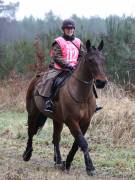 Image 97 in ANGLIAN DISTANCE RIDERS.  9 MARCH 2019