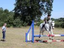 Image 39 in SOUTH NORFOLK PONY CLUB 28 JULY 2018. FROM THE SHOW JUMPING CLASSES.