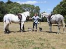 Image 65 in SOUTH NORFOLK PONY CLUB 28 JULY 2018. FROM THE SHOW JUMPING CLASSES.