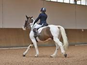 Image 182 in MARTLEY HALL STUD  17 MARCH 2019