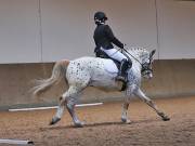 Image 206 in MARTLEY HALL STUD  17 MARCH 2019