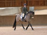 Image 216 in MARTLEY HALL STUD  17 MARCH 2019