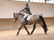 Image 221 in MARTLEY HALL STUD  17 MARCH 2019