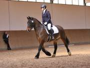 Image 32 in MARTLEY HALL STUD 17 MARCH 2019
